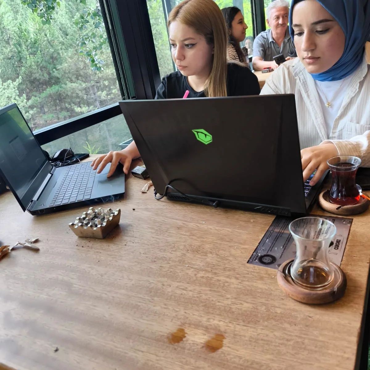 Bir Kahve Ormanı Macerası
